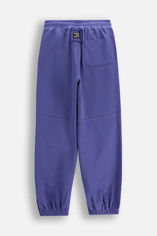 Κοριτσίστικα Παιδικό φούτερ Coccodrillo WC5120101CGJ μπλε