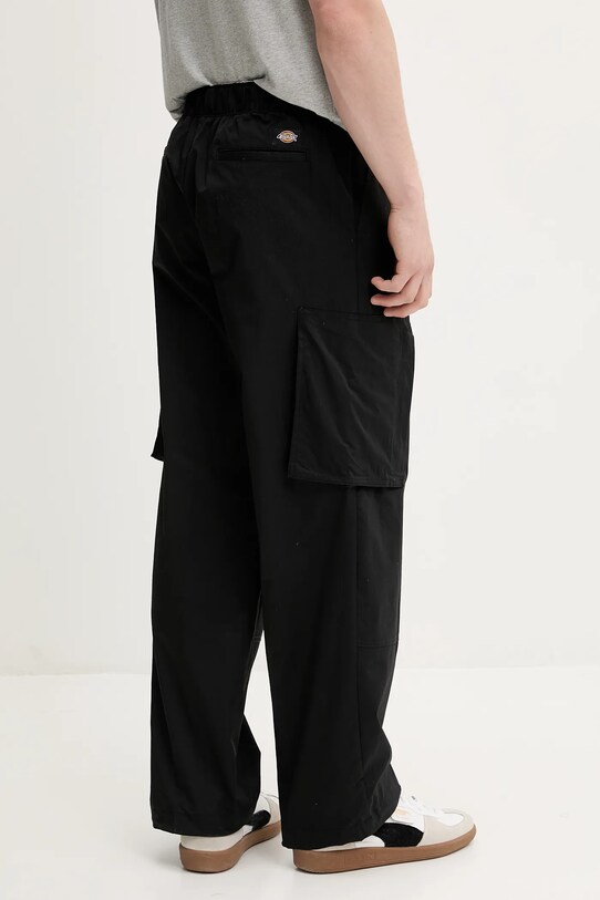 Oblečení Kalhoty Dickies DK0A4Z37BLK1 černá