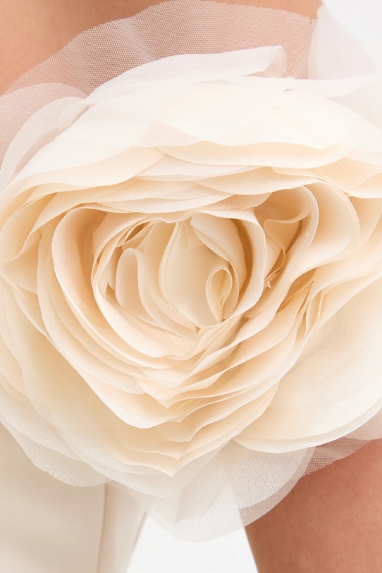 Elisabetta Franchi sukienka ABT5152E2 beżowy