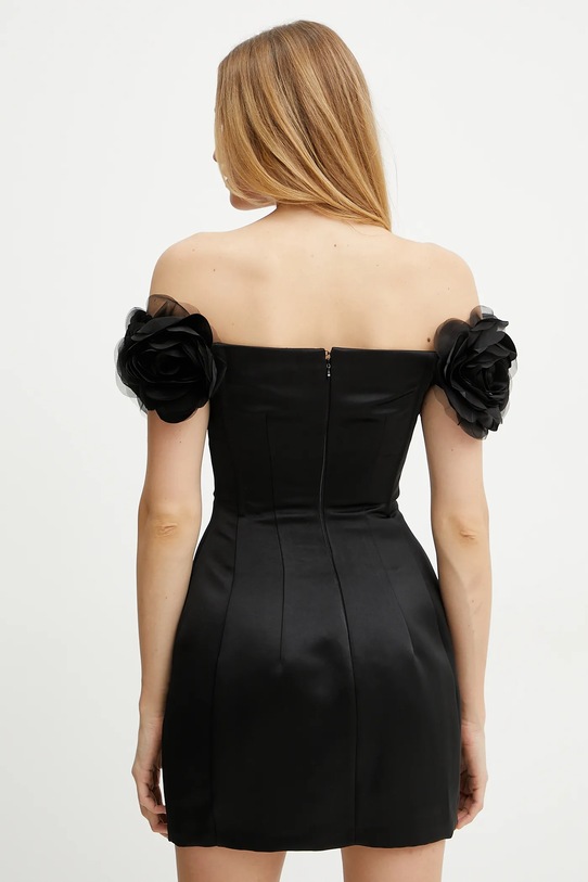 Oblečení Šaty Elisabetta Franchi ABT5152E2 černá