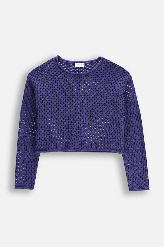 Детский хлопковый свитер Coccodrillo WC5172101CGJ голубой SS25