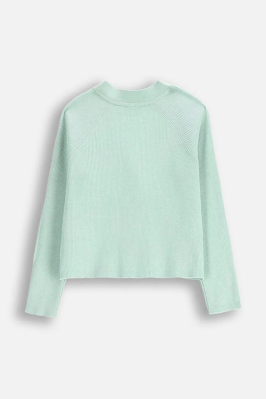 Fete Coccodrillo cardigan WC5172201HGJ turcoaz