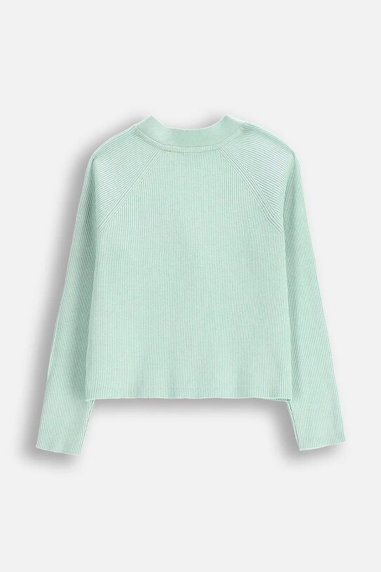 Fete Coccodrillo cardigan WC5172201HGK turcoaz