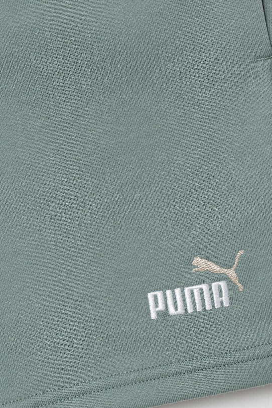 Мальчик Детские шорты Puma ESS 2 COLOR No. 1 Logo Shorts TR 685826 зелёный