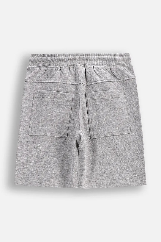 Coccodrillo szorty WC5120503IBK szary SS25