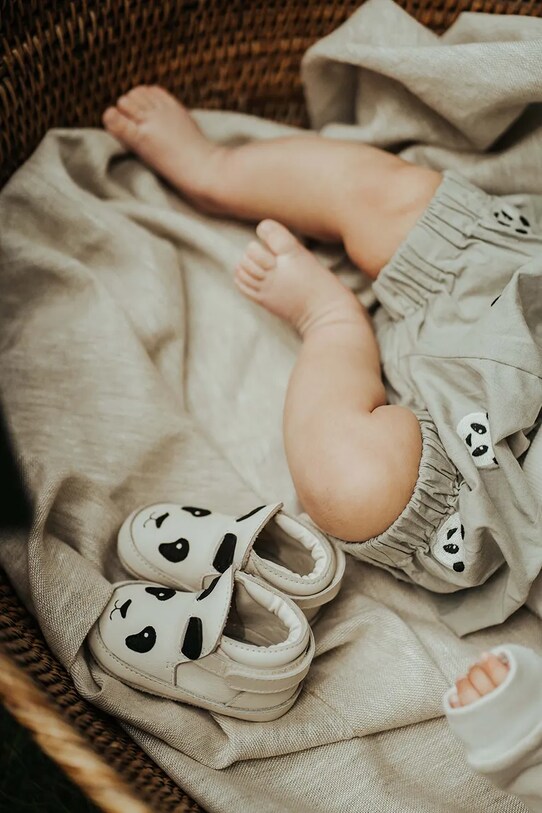 Βρεφικό βαμβακερό σορτς Donsje Carson Bloomers Pandas γκρί 3029805