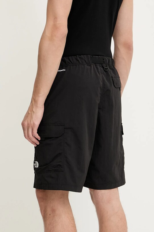 Oblečení Kraťasy The North Face TNF X NSE NF0A8BJMJK31 černá