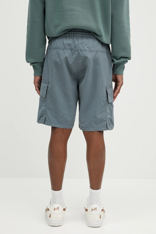 Abbigliamento Napapijri pantaloncini N-Baldi NP0A4IBSG1Y1 blu