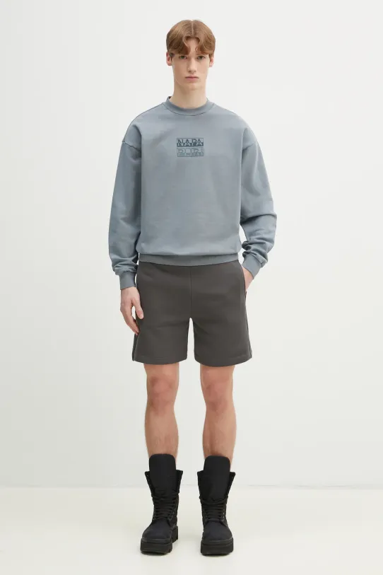 Alpha Industries shorts Studio Edition Shorts 156369.684 gray