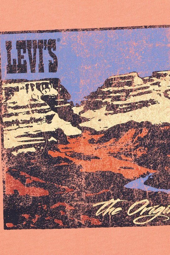 Хлопчик Дитяча футболка Levi's CANYON LANDSCAPE TEE 8EM301 помаранчевий