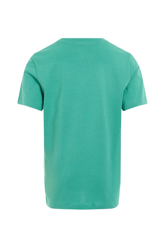 Мальчик Детская хлопковая футболка Calvin Klein Jeans IB0IB02447.104.116.PPYA зелёный