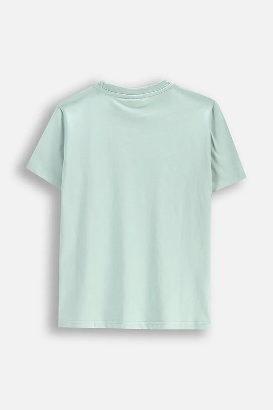 Coccodrillo t-shirt WC5143207WBJ turkusowy SS25