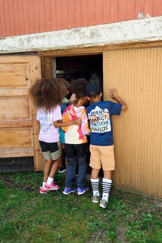 Reima tricou copii Siirtyy 5200353A.PPYA