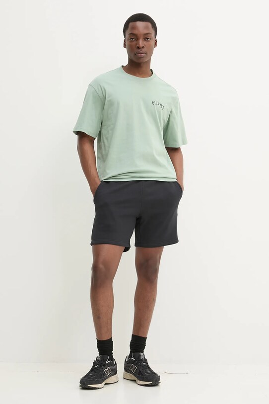 Bavlněné tričko Dickies DK0A4Z99K361 zelená SS25