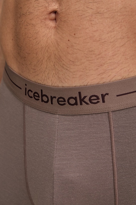 Icebreaker męska z wełny merino Anatomica brązowy IB1030290KW1