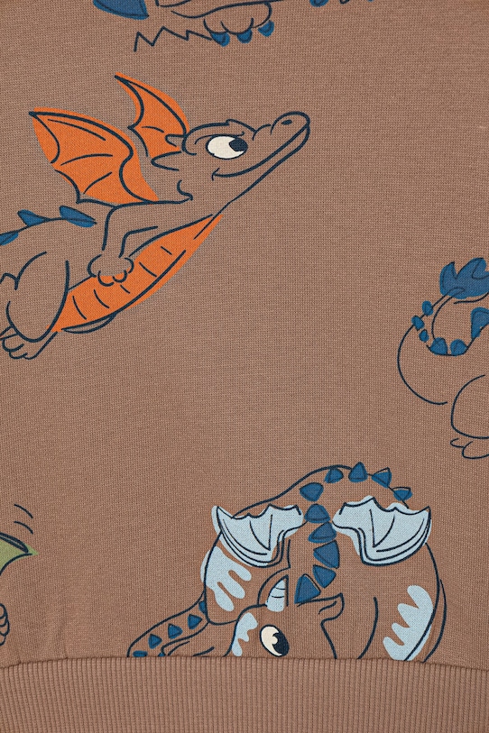 Chłopiec United Colors of Benetton bluza z kapturem dziecięca bawełniana 3M42G10MH.P.Stagionale brązowy