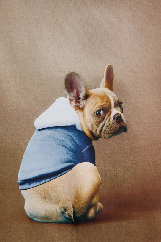 MUNTHE bluza ROULA 254113025466 szary