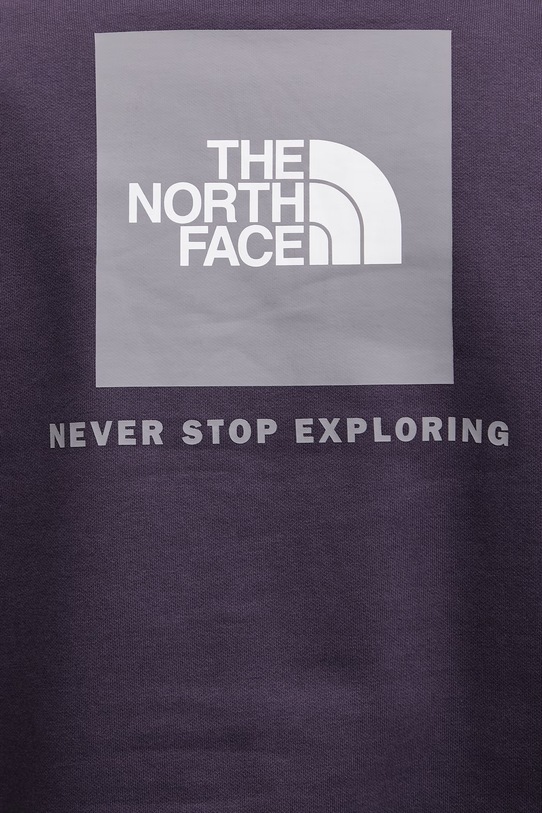 The North Face bluza Raglan Redbox NF0A89F9G5O1