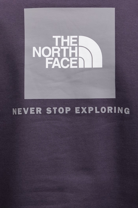 Mikina The North Face Raglan Redbox NF0A89F9G5O1