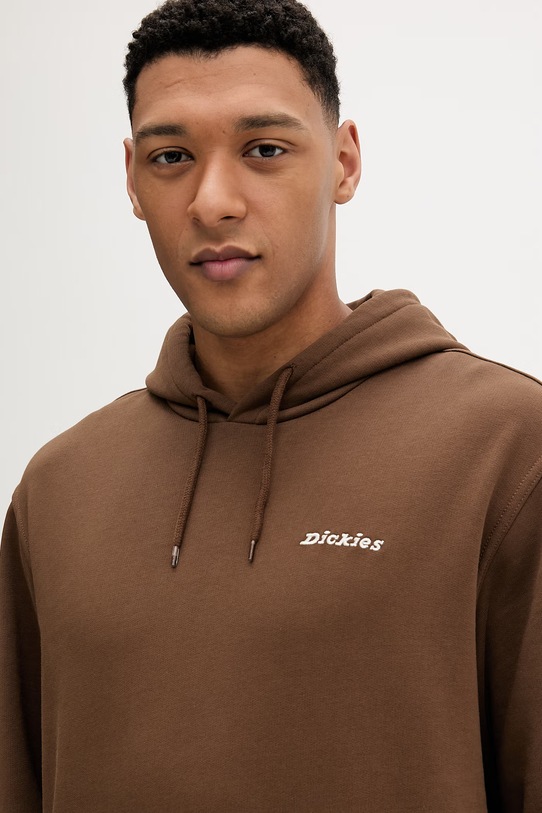 Dickies bluza brązowy DK0A889X0TB1