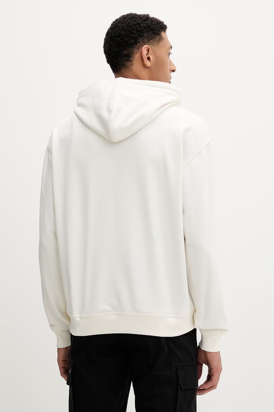 Odzież Dickies bluza DK0A88EFC481 beżowy