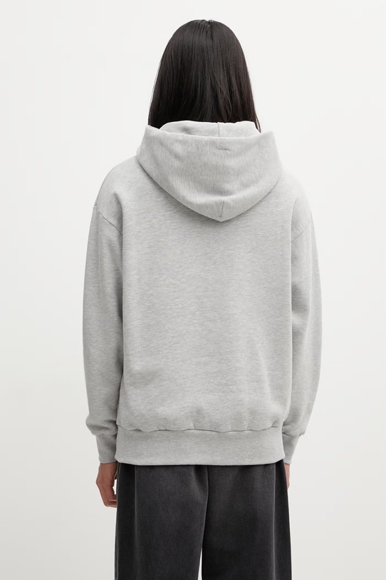Odzież No Problemo Mini Problemo bluza z kapturem męska z bawełną NP2001505 szary