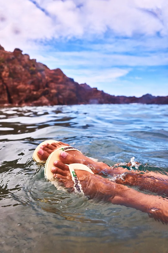 Παντόφλες Havaianas BRASIL LOGO 4110850.9256