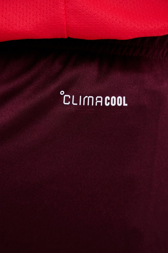 adidas Performance szorty treningowe Entrada26 bordowy JZ2514