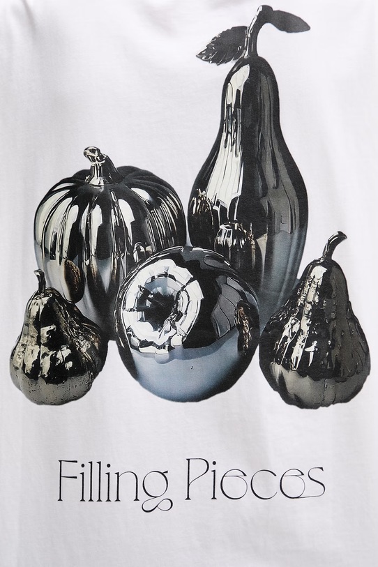 Filling Pieces футболка чоловіча бавовняна Chrome Fruit 412620501291.110