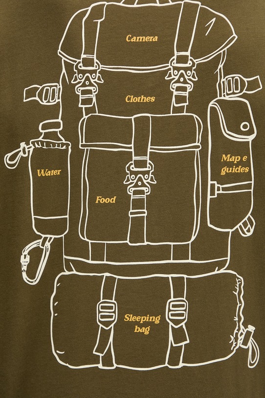 Napapijri t-shirt bawełniany FLINT NP0A4FZZG3A1 zielony