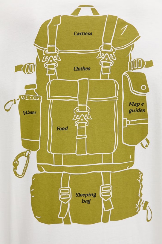 Napapijri t-shirt bawełniany FLINT NP0A4FZZN1A1 beżowy