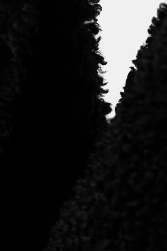 Answear Lab poseta negru 4318.fms