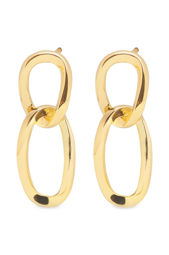 Naušnice ANIA KRUK TRENDY Gift Box zlatna MRUKM1040Z