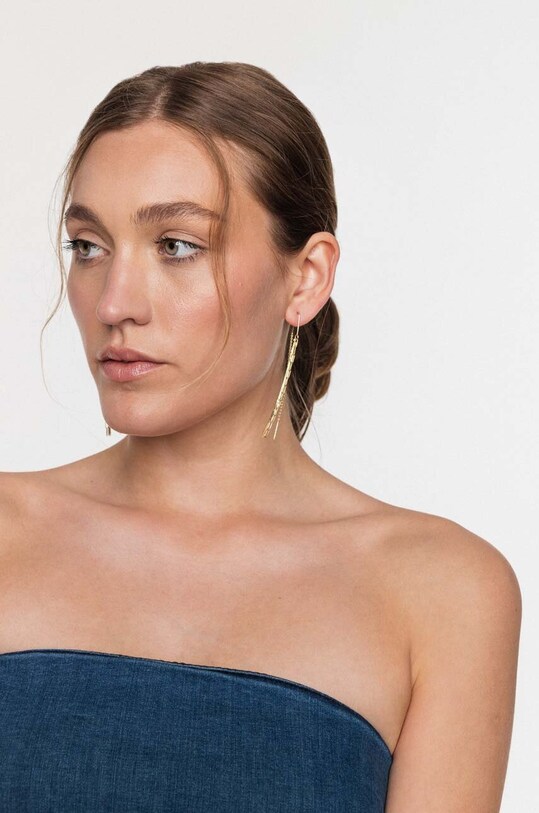 Позолочені сережки ANIA KRUK TRENDY золотий SMVKS1700Z
