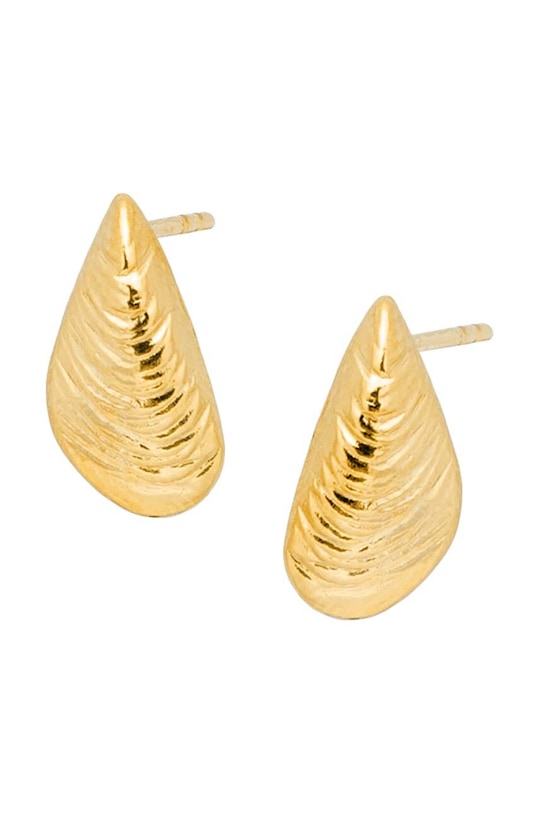 Stříbrné pozlacené náušnice ANIA KRUK ARIEL Dárkový box zlatá SARKS0060Z