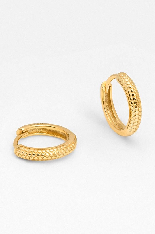 Stříbrné pozlacené náušnice ANIA KRUK VINTAGE SRUKS2040Z zlatá ZA00