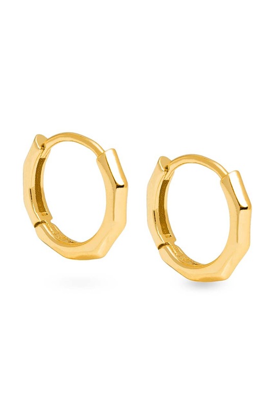 Stříbrné pozlacené náušnice ANIA KRUK TRENDY pozlacení zlatá SRUKS2050Z