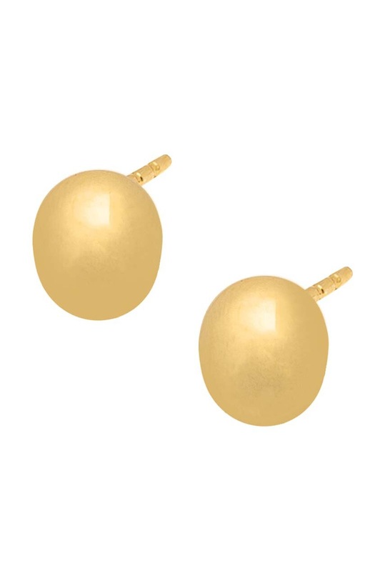 Ασημένια επιχρυσωμένα σκουλαρίκια ANIA KRUK TRENDY επιχρυσωμένο χρυσαφί SARKS0010Z