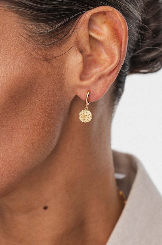 Срібні сережки з позолотою ANIA KRUK SKY золотий SJDKS0190Z