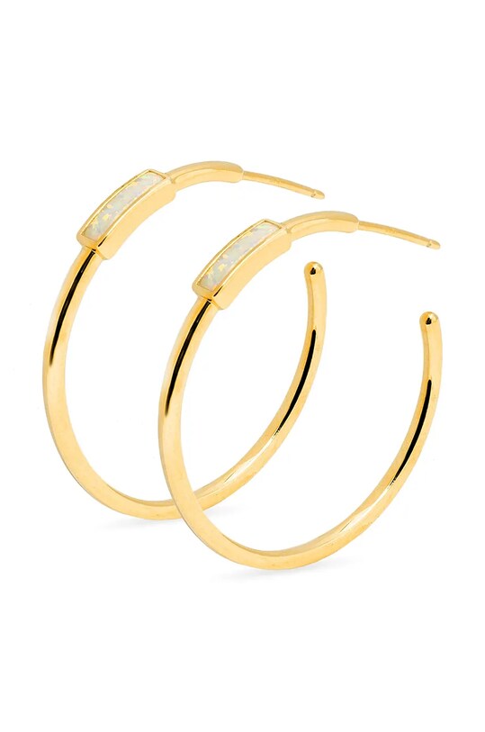 Срібні сережки з позолотою ANIA KRUK DUO срібло золотий SMRKY1329Z