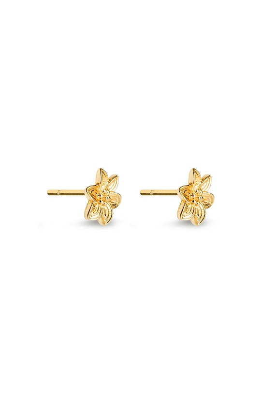 Серебряные серьги с позолотой ANIA KRUK HIPPIE позолота золотой SSIKS1000Z
