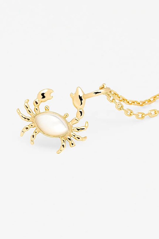 Серебряное колье с позолотой ANIA KRUK ARIEL SMRNP1419Z золотой ZS25