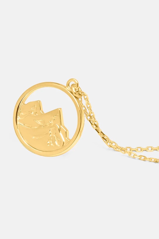 Серебряное колье с позолотой ANIA KRUK SGCNS3020Z золотой ZS25