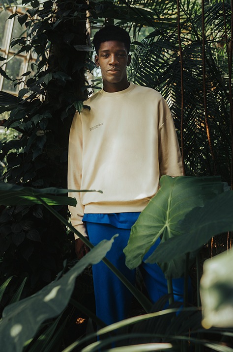 WALK IN THE JUNGLE