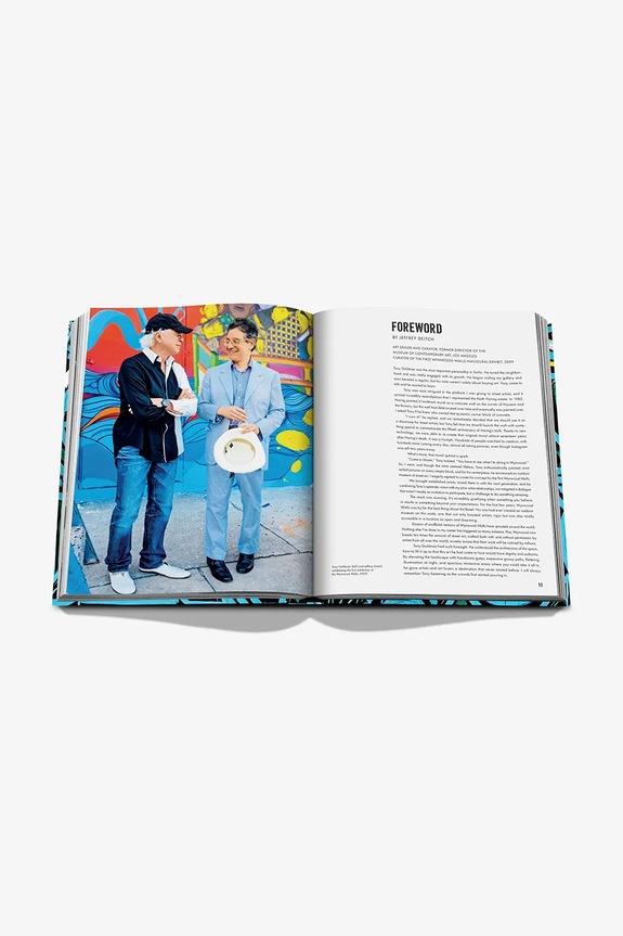 Assouline book Street Art Icons by Jessica Goldman Srebnick, English multicolor 9781649802910