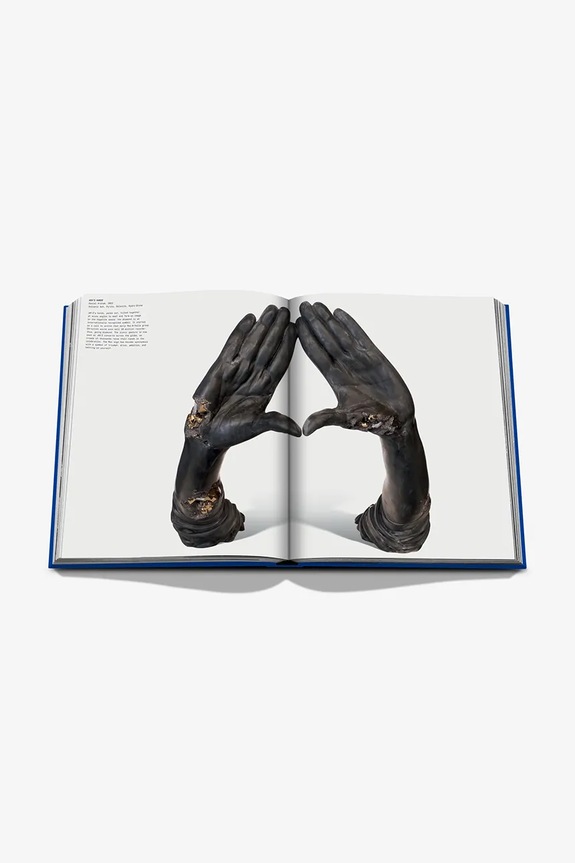 Βιβλίο Assouline The Book of Hov: A Tribute to Jay-Z, Collectif, English 9781649804259 πολύχρωμο