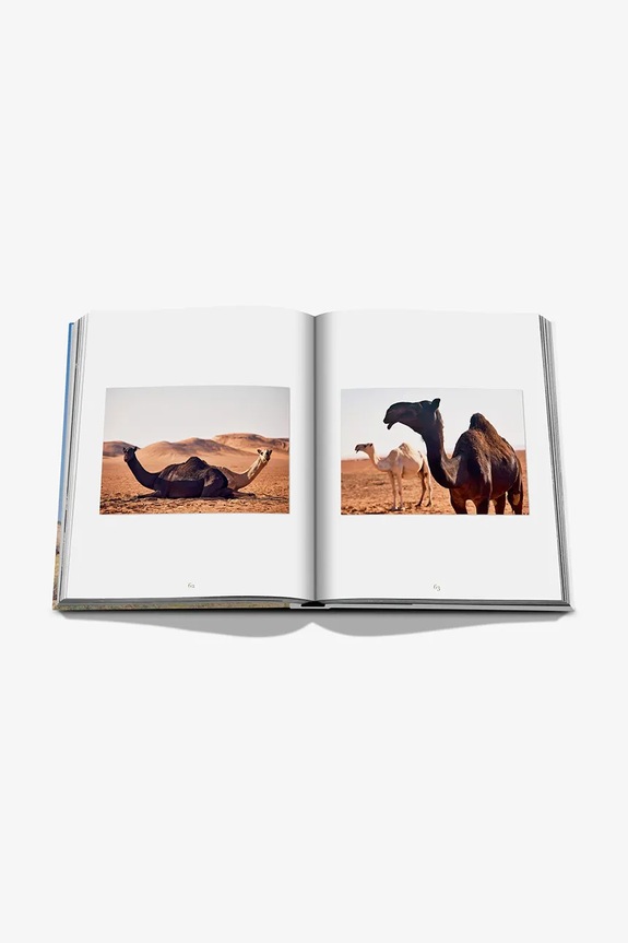 Βιβλίο Assouline Camels from Saudi by Ghada AlMuhanna Abalkhail, English 9781649803672