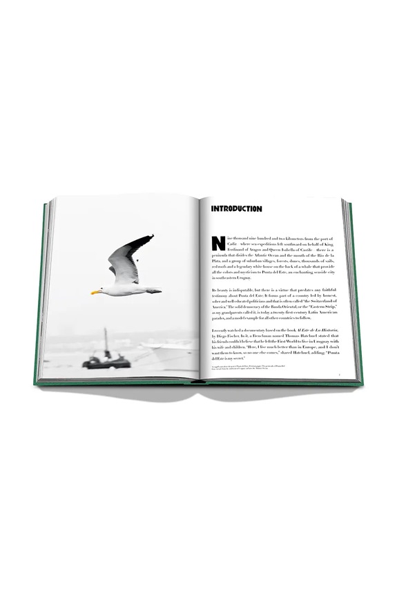 Kniha Assouline Punta Del Este by Bony Bullrich, English vícebarevná 9781649801845