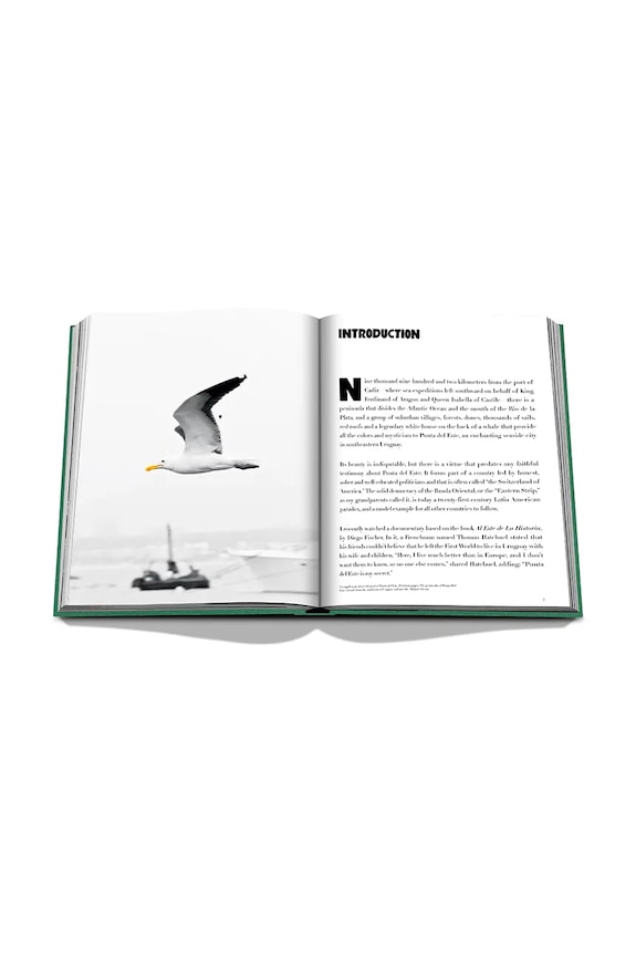 Kniha Assouline Punta Del Este by Bony Bullrich, English vícebarevná 9781649801845