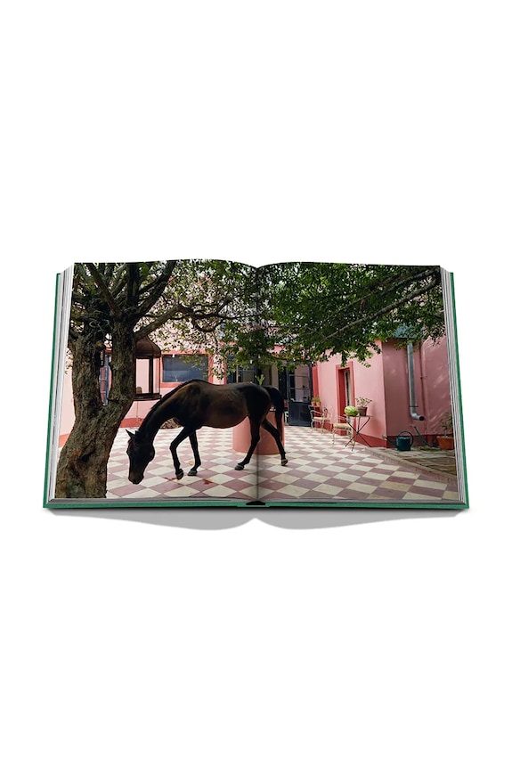 Kniha Assouline Punta Del Este by Bony Bullrich, English 9781649801845